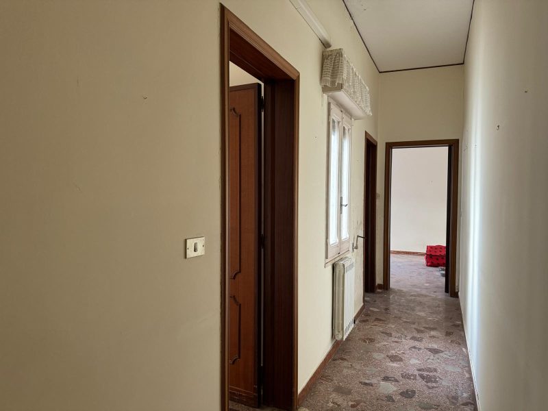 IMG-20241030-WA0017